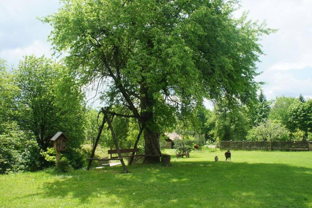Agroturystyka Ropienka Экстерьер фото