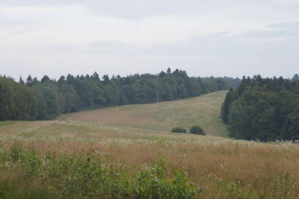 Agroturystyka Ropienka Экстерьер фото